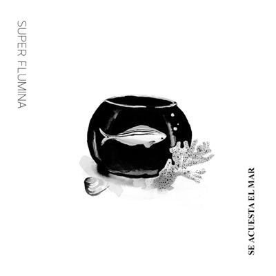 Se Acuesta el Mar - Single
