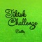 Tiktok Challenge artwork