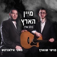 Halev Sheli (feat. Motty Ilowitz) [מיין הארץ] - Single - Moishy Schwartz