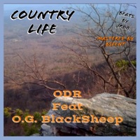 Country Life (feat. O.G. BlackSheep) - Single - Ol Dirt Road