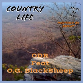 Country Life (feat. O.G. BlackSheep) Ol Dirt Road