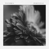 Victoria - Perennial