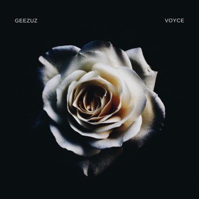 Voyce - Single