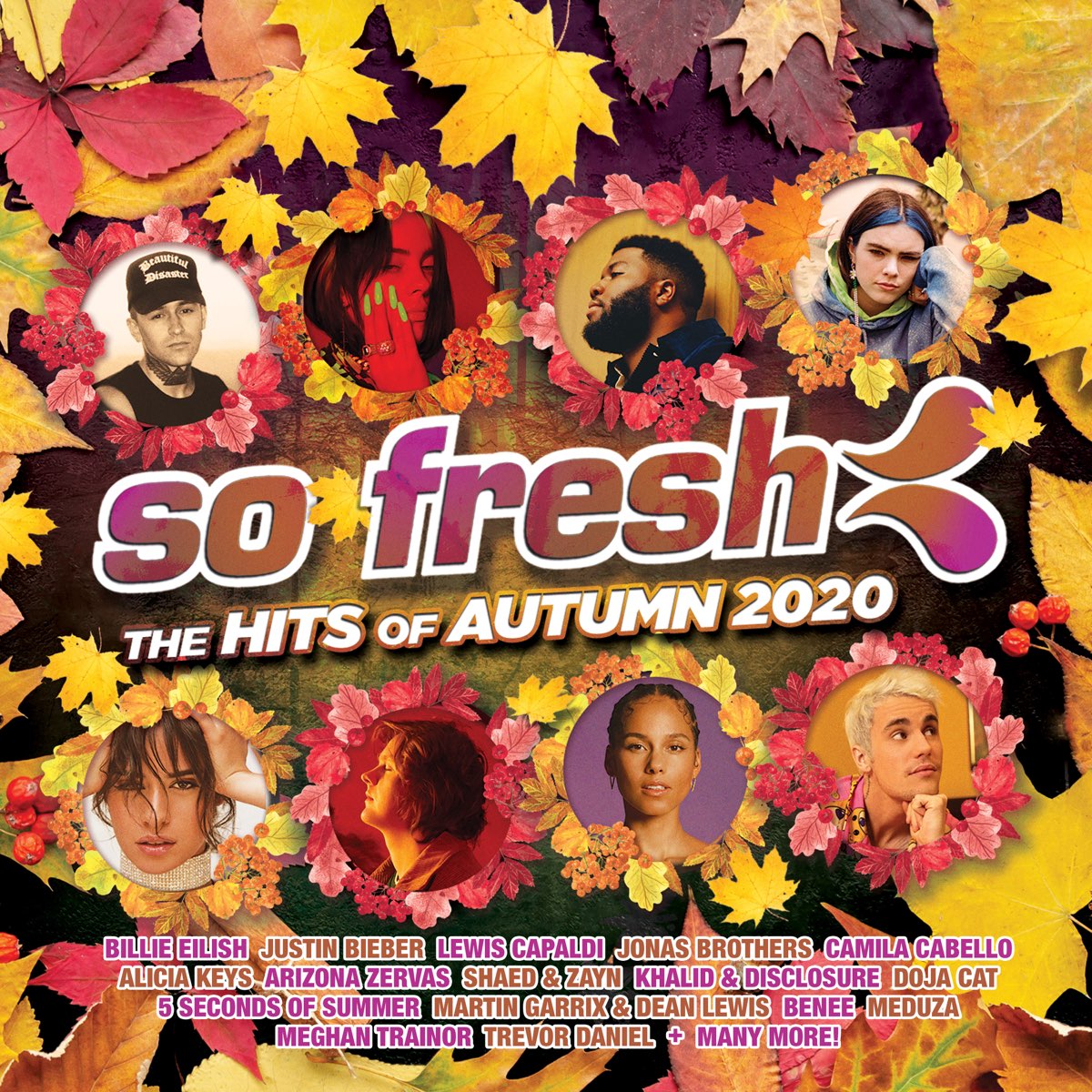 ‎So Fresh The Hits of Autumn 2020 Album by Various Artists Apple Music