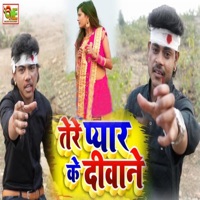 Tere Pyar Ke Dewane - Single - Mohit Raja & Priyanshu Raja