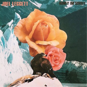 Honey I'm Sorry (Acoustic) - Single