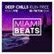 Run Free (8D TikTok Edit) [feat. IVIE] - Deep Chills lyrics