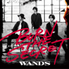 BURN THE SECRET - WANDS