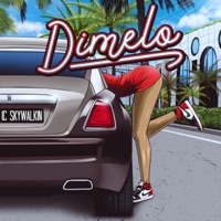 Dimelo - Single - Ic Skywalkin