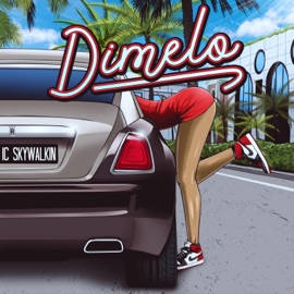 Dimelo Ic Skywalkin