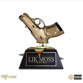 Sturdy Lik Moss