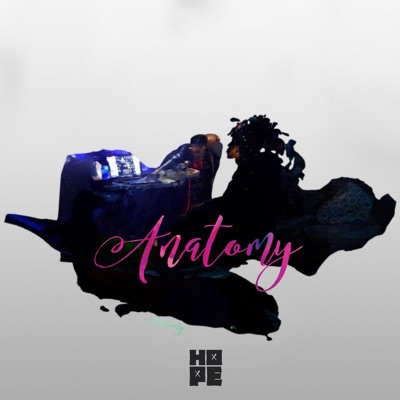 Anatomy - Single