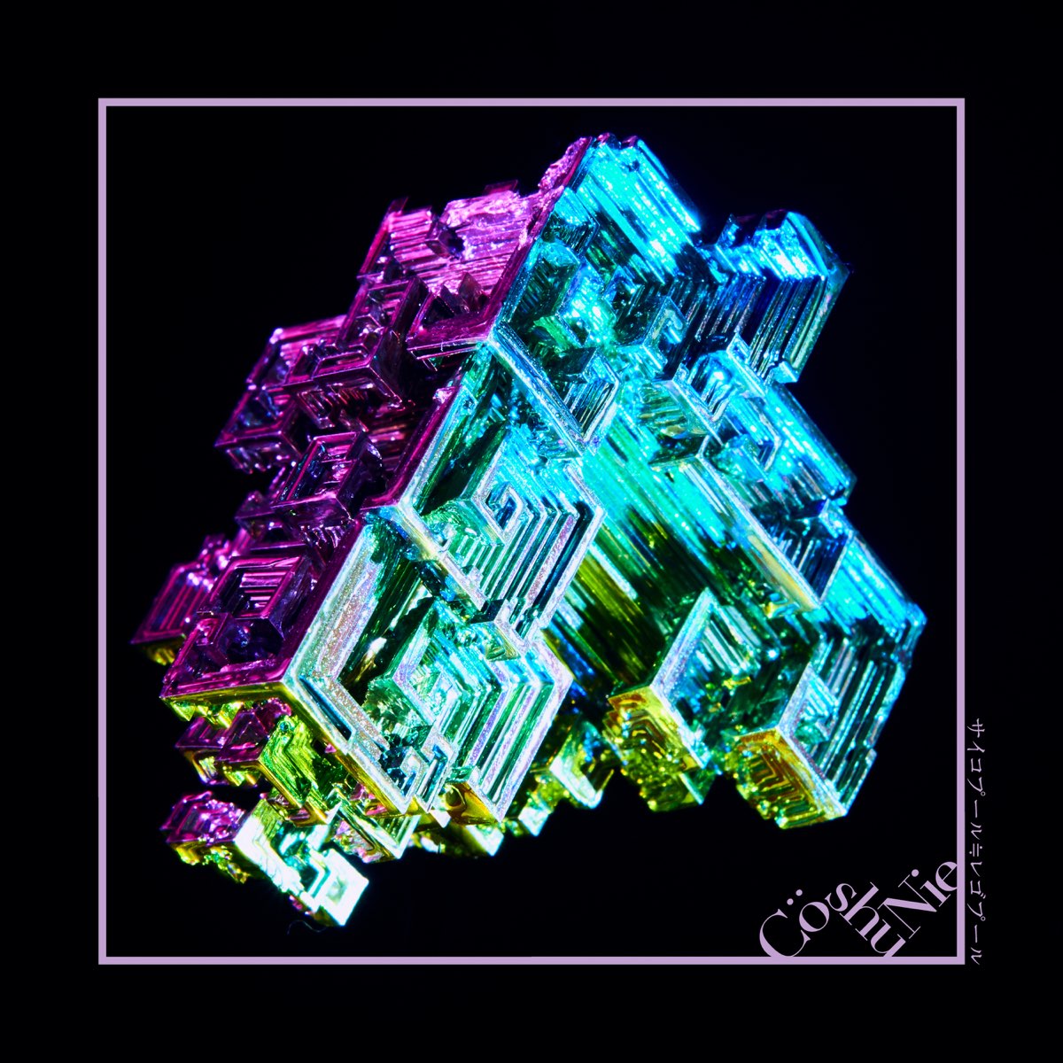Co Shu Nieの サイコプール レゴプール Single をapple Musicで Co Shu Nieの サイコプール レゴプール Single をapple Musicで