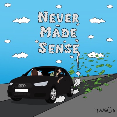 Never Made Sense - Single