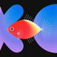 金魚花火 (ANIMAL HACK Remix) - Single - Ai Otsuka