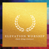 Elevation Worship - Only King Forever (Live)  artwork