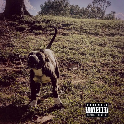 Dawgs Only (Community Rules) - Single