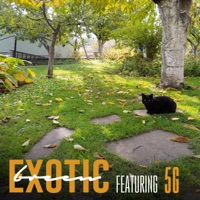 Exotic - Single - Breen & 5G