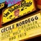 Formidable - Cecile Nordegg lyrics