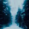 Hilyard - True North