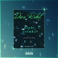 Night Crimes - Single - Disco Rebel