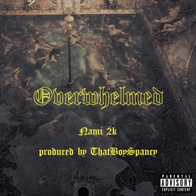 Overwhelmed - Single