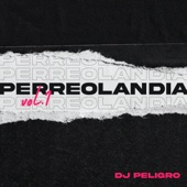 Perreolandia, Vol 1 artwork
