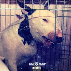 Teknical Foul Tek Bully