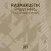 Panther (Format B Remix)