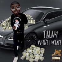 What I Want - Single - Talay