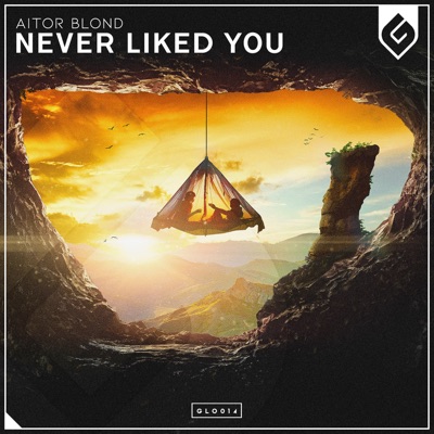 Never Liked You - Single