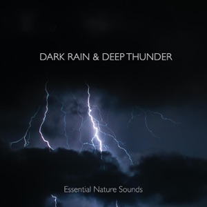 Dark Rain & Deep Thunder - EP