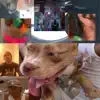 Infrunami