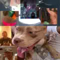 Infrunami