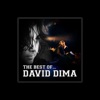 DAVID DIMA