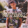 Moonwalking in Calabasas - Single