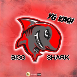 Bigg Shark YG Kash