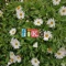 Fika - Mariana Tereso lyrics