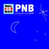 PNB - Single