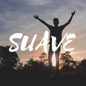 Suave (feat. Pala) artwork