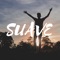 Suave (feat. Pala) artwork
