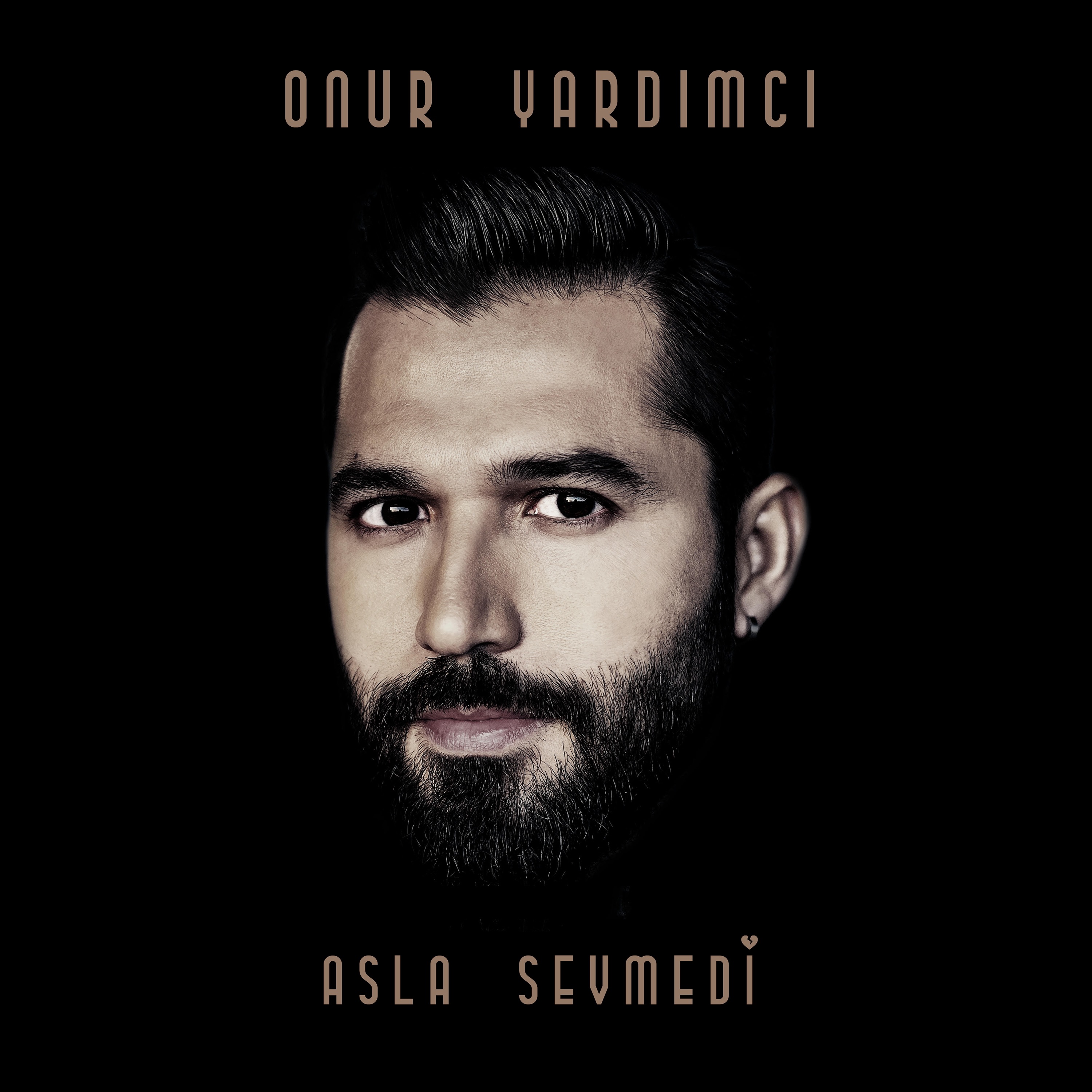 Asla Sevmedi - Single