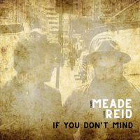 Daniel Meade & Lloyd Reid - If You Don't Mind artwork