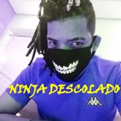 Ninja Descolado artwork