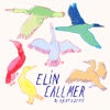 Elin Callmer