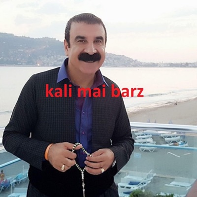 Amir Hosein Aliasgari - Kali Mai Barz (Aziz Weisi)