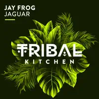 Jaguar (Radio Edit) — Jay Frog