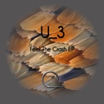 Feel the Crash - Single