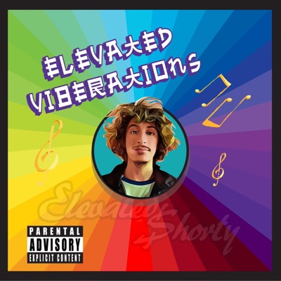 Elevated Viberations - Single