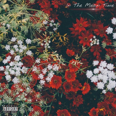 In the Meantime - EP